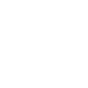 map icon